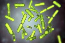 Green colored probiotic rod-shaped gram-positive aerobic Bacillus clausii bacteria restoring microflora of intestine. — Stock Photo