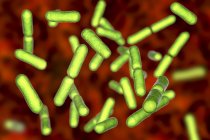 Bacillus clausii bacterias aerobias gram-positivas en forma de barra probiótica de color verde que restauran la microflora del intestino . - foto de stock