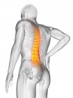 Silueta masculina con dolor de espalda en ángulo bajo, ilustración conceptual . - foto de stock