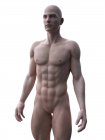 Sagoma astratta dell'uomo muscoloso, illustrazione digitale . — Foto stock