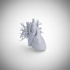 Modelo de corazón humano gris sobre fondo blanco, ilustración por ordenador . - foto de stock