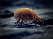Parasite acarien de la poussière, illustration numérique microscopique . — Photo de stock