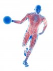 Männliche Basketballspieler Muskeln beim Laufen mit Ball, Computerillustration. — Stockfoto