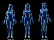 Différents types de corps féminins, illustration numérique conceptuelle . — Photo de stock