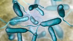 Вібріозна бактерія, знайдена в морській воді, кольорова комп'ютерна ілюстрація . — стокове фото