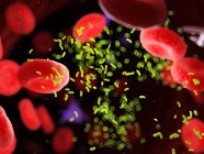 Bactérias em meio a células sanguíneas em vasos sanguíneos, ilustração digital . — Fotografia de Stock