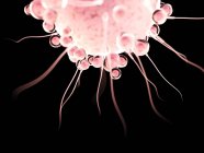 Оплодотворение яйцеклетки сперматозоидами, цифровая иллюстрация
. — стоковое фото
