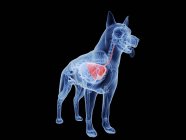 Silhouette di cane con polmoni di colore rosso su sfondo nero, illustrazione digitale . — Foto stock