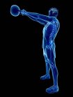 Скелетные кости человека, делающего гиревые упражнения, концептуальная цифровая иллюстрация
. — стоковое фото