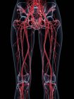 Estructura del sistema vascular femenino de las piernas, ilustración por computadora . - foto de stock