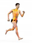 Esqueleto de cor laranja do corredor masculino em ação, ilustração digital
. — Fotografia de Stock