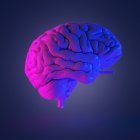 Abstraktes mehrfarbiges menschliches Gehirn, Computerillustration. — Stockfoto