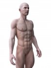 Abstrakte Silhouette eines muskulösen Mannes, digitale Illustration. — Stockfoto