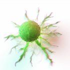 Абстрактна зелена кольорова ракова клітина на білому тлі, цифрова ілюстрація. — стокове фото