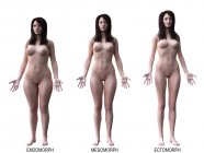 Différents types de corps féminins, illustration numérique conceptuelle . — Photo de stock