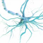 Синя кольорова нервова клітина на білому тлі, цифрова ілюстрація . — стокове фото