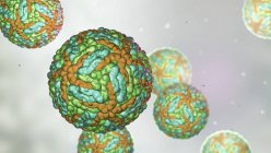 Частицы вируса Зика, передающиеся от укуса комара, цифровая иллюстрация . — стоковое фото