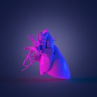 Modello di cuore umano colorato su sfondo scuro, illustrazione del computer . — Foto stock