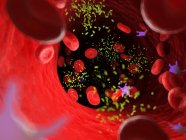 Bactéries au milieu des cellules sanguines dans les vaisseaux sanguins, illustration numérique . — Photo de stock