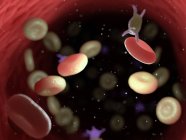 Cellules sanguines malades avec bactéries, illustration informatique . — Photo de stock