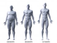 Male different body types, computer illustration. — Stock Photo