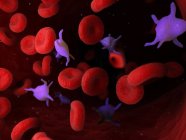 Platelets in human blood, computer illustration. — Stock Photo