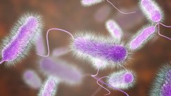 Цифровая иллюстрация бактерии Legionella pneumophila, причина болезни легионеров . — стоковое фото