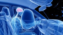 X-ray illustration of risk of brain injury while head-on car crash, digital artwork. — Stock Photo