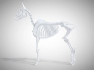 Pferdeskelett, realistisches 3D-Rendering. — Stockfoto