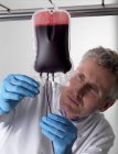 Mature male doctor processing donor blood in bags. — Stock Photo