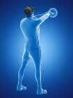 Man doing kettlebell workout, conceptual digital illustration. — Stock Photo