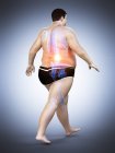 Caminar silueta masculina obesa con dolor de espalda visible, ilustración digital
. - foto de stock