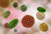 Пыльцевые зёрна различных растений, компьютерная иллюстрация — стоковое фото