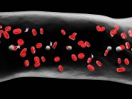 Vasos sanguíneos abstractos con glóbulos blancos y rojos, ilustración digital
. — Stock Photo