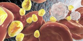 Цифрова ілюстрація кульок ліпідів холестерину в кровоносних судинах . — стокове фото
