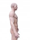 Silueta abstracta del hombre musculoso, ilustración digital . - foto de stock