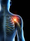 Абстрактное мужское тело с подробной болью в плече, концептуальная цифровая иллюстрация . — стоковое фото
