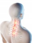 Ilustración digital conceptual del dolor de espalda superior en silueta humana transparente . - foto de stock