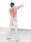 Musculature of man doing kettlebell workout, conceptual digital illustration. — Stock Photo