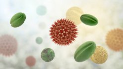 Grains de pollen provenant de différentes plantes, illustration informatique — Photo de stock
