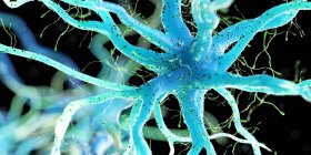 Blau gefärbte Nervenzelle auf dunklem Hintergrund, digitale Illustration. — Stockfoto