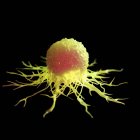 Абстрактна жовта кольорова ракова клітина на чорному тлі, цифрове зображення. — стокове фото