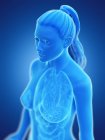 Modello del corpo umano che mostra l'anatomia femminile dei polmoni, illustrazione digitale di rendering 3d . — Foto stock