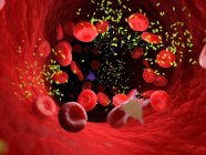 Batteri tra le cellule del sangue nei vasi sanguigni, illustrazione digitale . — Foto stock