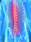 Ilustración digital conceptual del dolor de espalda en la silueta humana transparente . - foto de stock