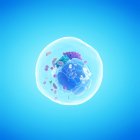 Abstract animal cell on blue background, digital illustration. — Stock Photo