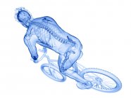Silueta de ciclista masculino, ilustración por ordenador . - foto de stock