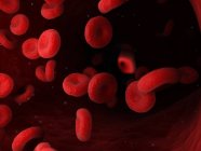 Erythrocytes red blood cells in human blood vessel, digital illustration. — Stock Photo