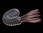 Antico animale ammonite su sfondo nero, illustrazione al computer . — Foto stock