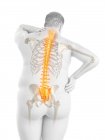 Cuerpo masculino obeso con dolor de espalda, ilustración digital . - foto de stock